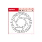 Δισκόπλακα MST281EC CRF 450 15-19 εμπρός TRW LUCAS