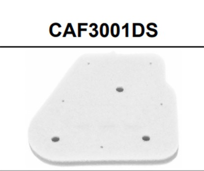 ΦΙΛΤΡΟ ΑΕΡΟΣ CHCAF3001DS HFA4001 NEOS50 AXIS50 CHAMPION