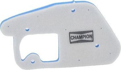 ΦΙΛΤΡΟ ΑΕΡΟΣ CHCAF3002DS HFA4002 BWS50 03-09 CHAMPION